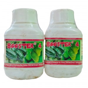 Booster-4