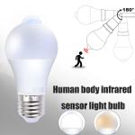 Max World human infrared sensor light