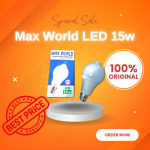 Max World human infrared sensor light