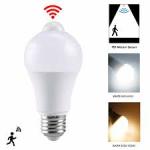 Max World human infrared sensor light