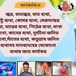 পেইন কিউর স্প্রে ৫০ মিলি