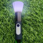 টর্চ লাইট