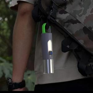 টর্চ লাইট