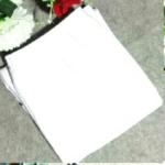 চেলি প্লাজো ১০০% কটন গেঞ্জির কাপড় দিয়ে তৈরি খুবই আরামদায়ক