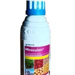 Miraculan (মিরাকুলান)