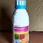 Miraculan (মিরাকুলান)