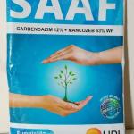 SAAF